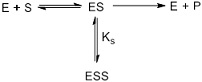 2318_Chemical synthesis3.jpg